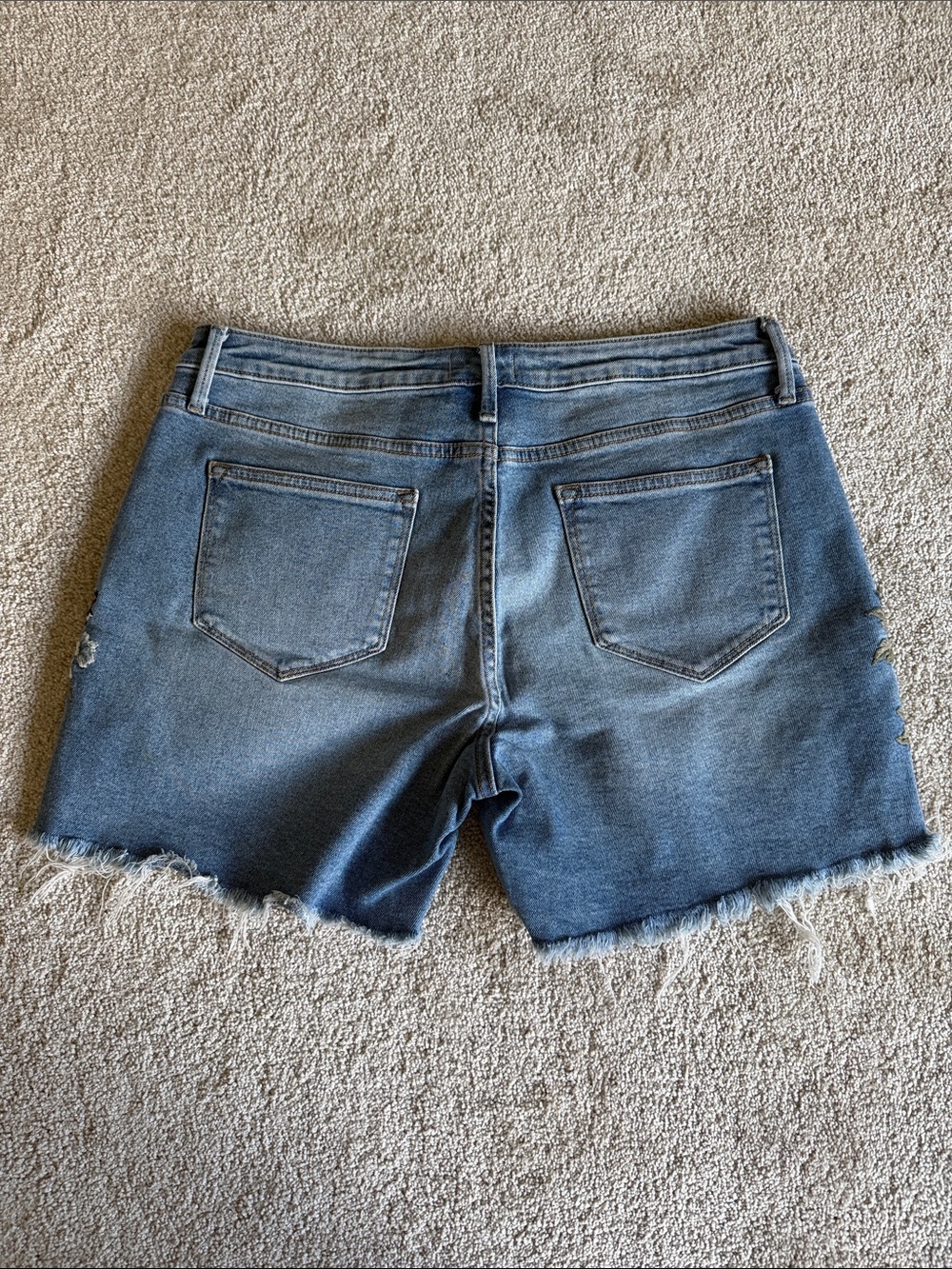 Driftwood embroidered shorts - Picture 2 of 5